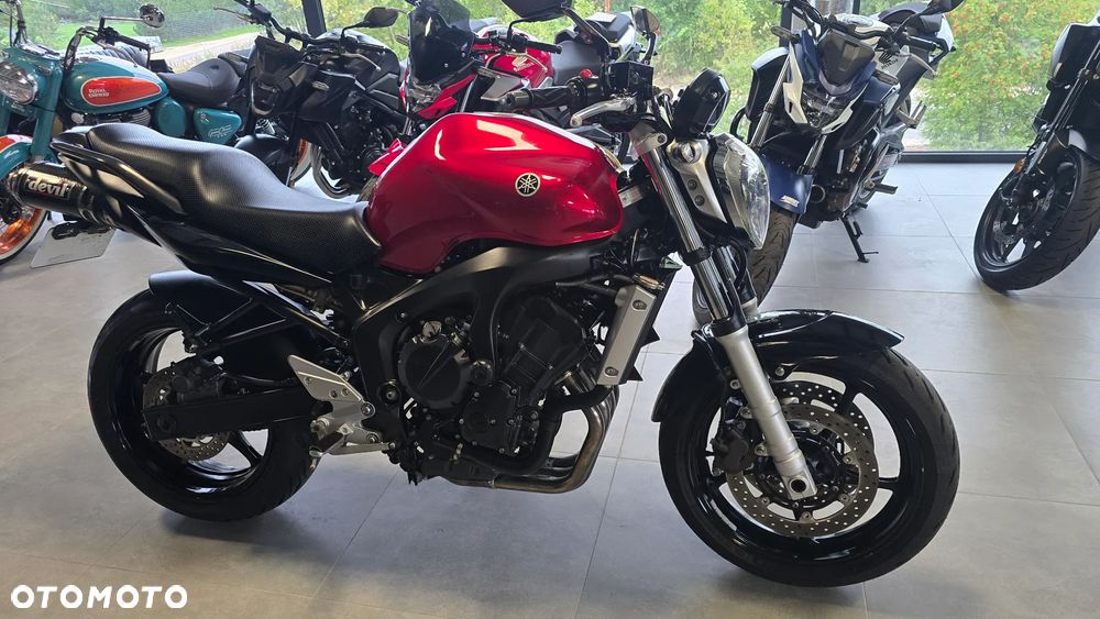 Yamaha FZ6 - 3
