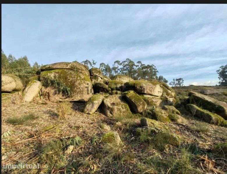 Terreno 4hetares Abragão - Grande imagem: 3/5