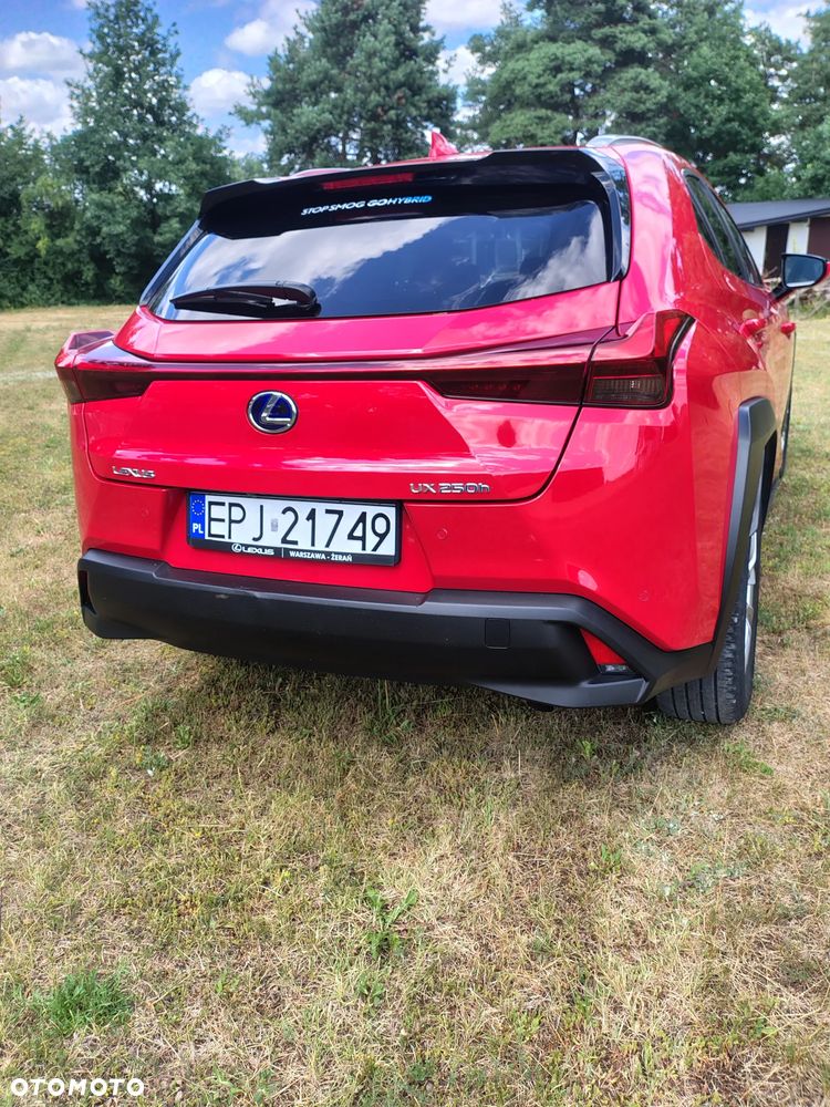 Lexus UX 250h Elegance AWD - 6