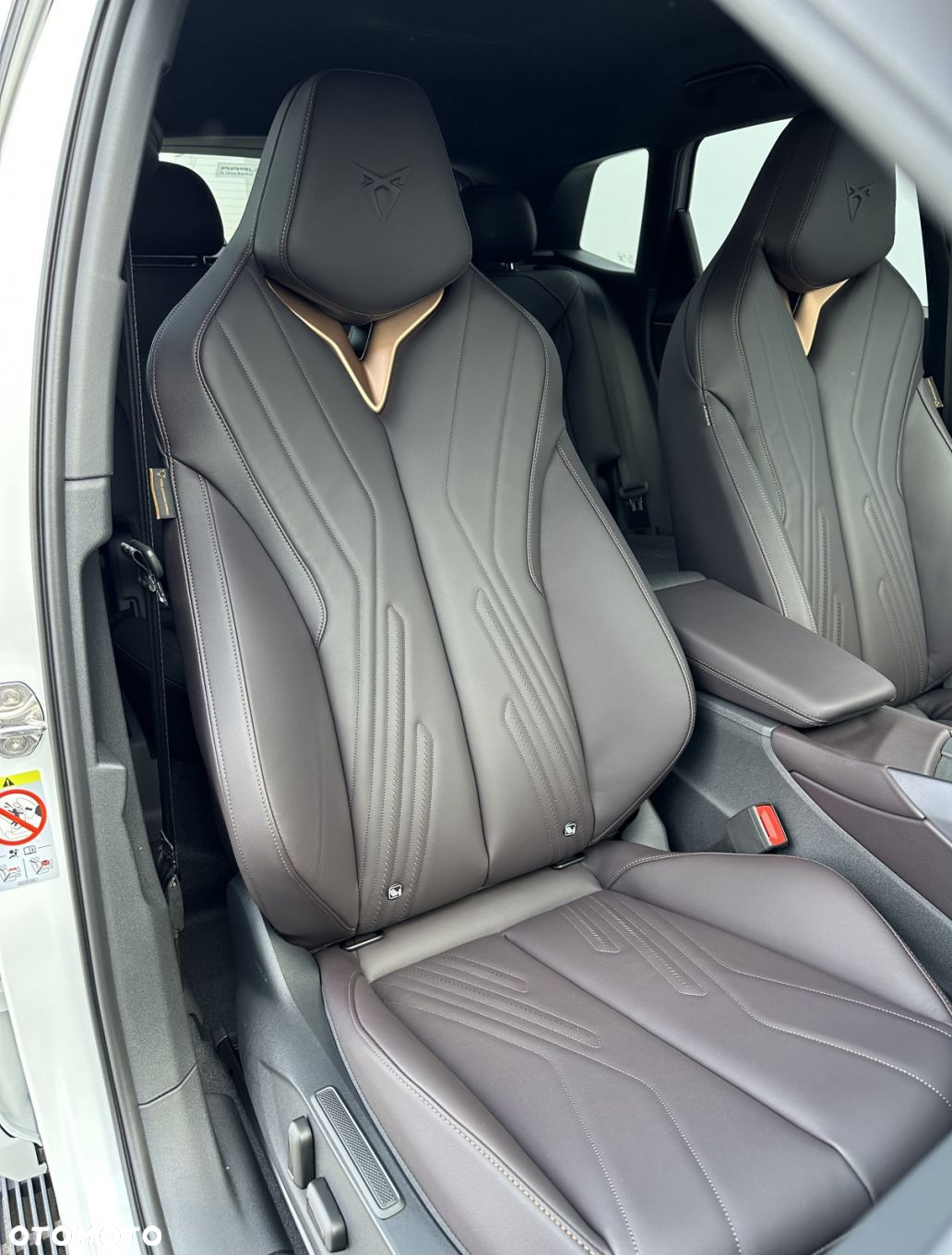 Cupra Terramar - 29