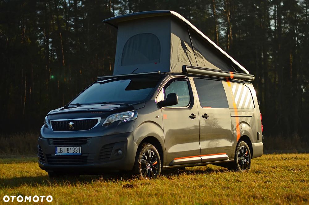 Peugeot Dangel Expert 4x4 - 12