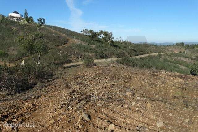 Terreno para fins agrícolas e florestais com 58.315 m2 - Santana da Se - Grande imagem: 5/15