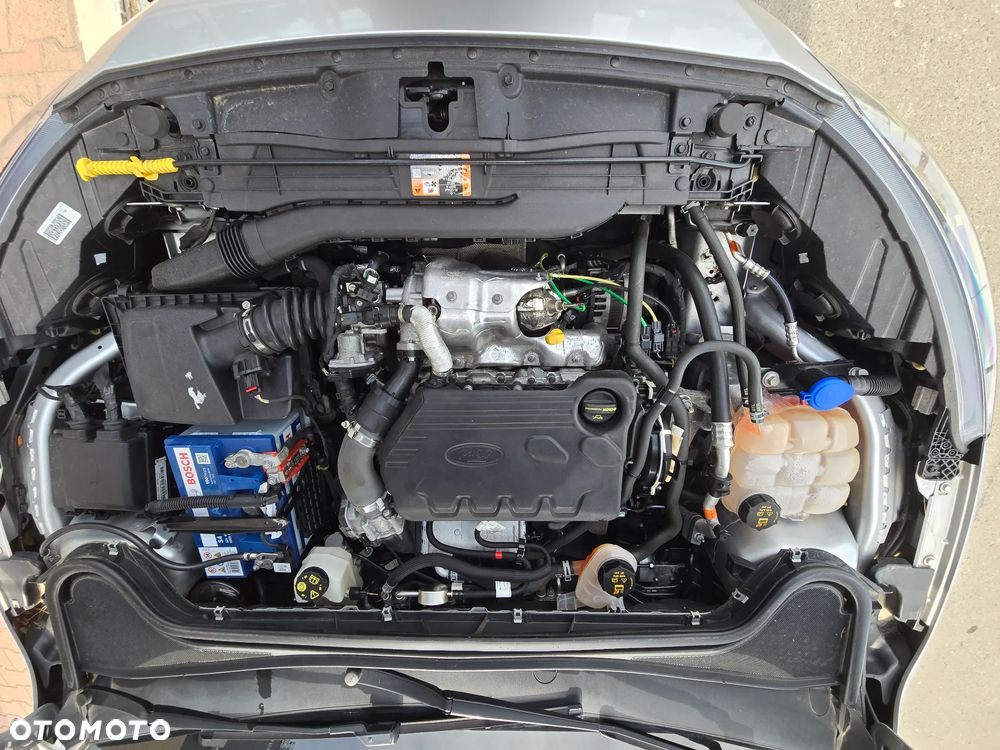 Ford Focus 1.5 EcoBlue Start-Stopp-System TITANIUM - 29