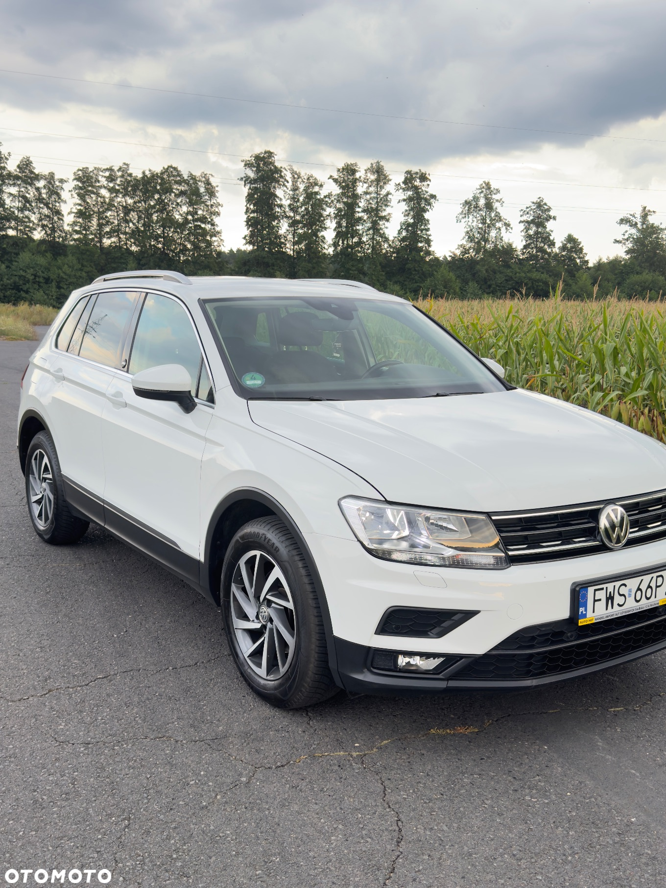 Volkswagen Tiguan 1.5 TSI OPF DSG - 2
