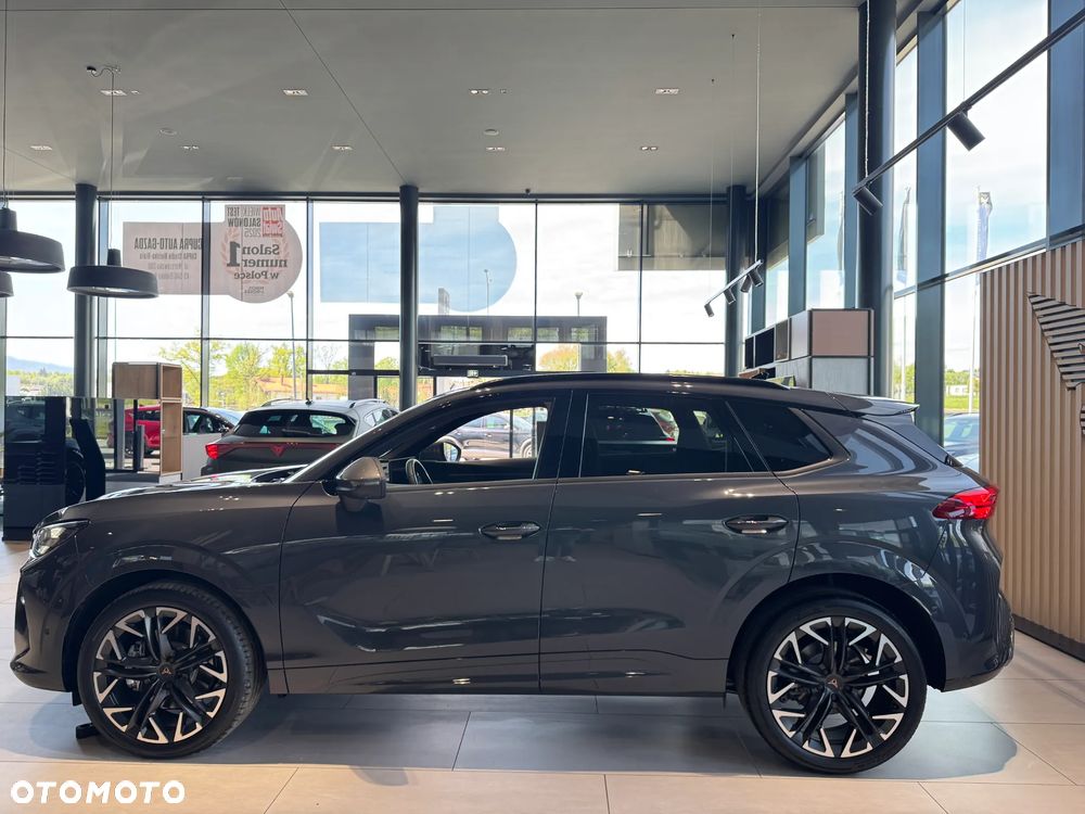 Cupra Terramar - 7