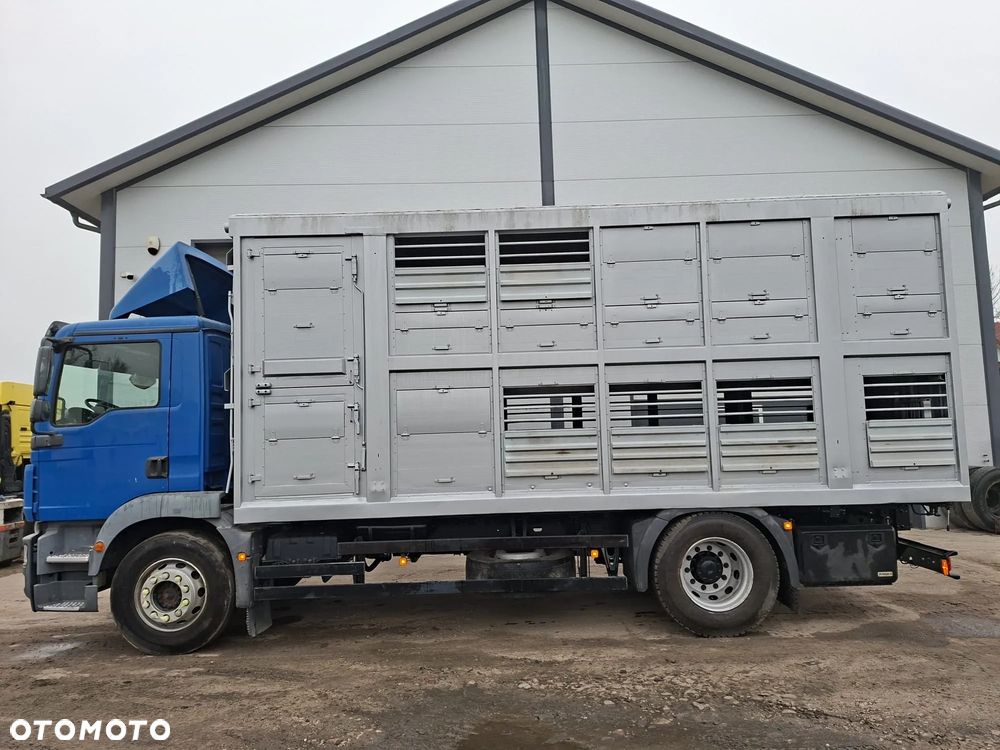 MAN TGM 18.250 4x2 DO ŻYWCA - 1