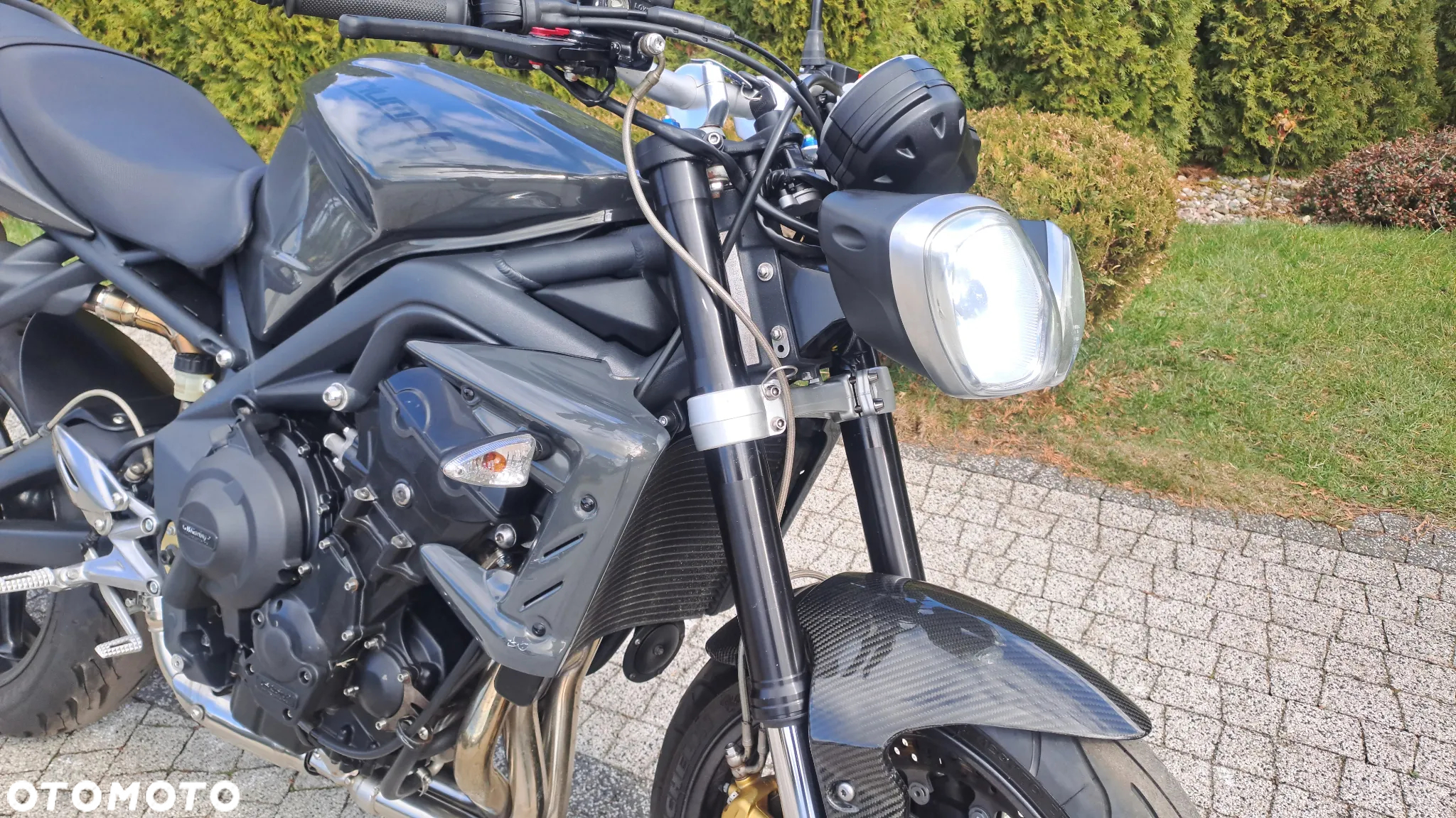 Triumph Speed Triple - 25
