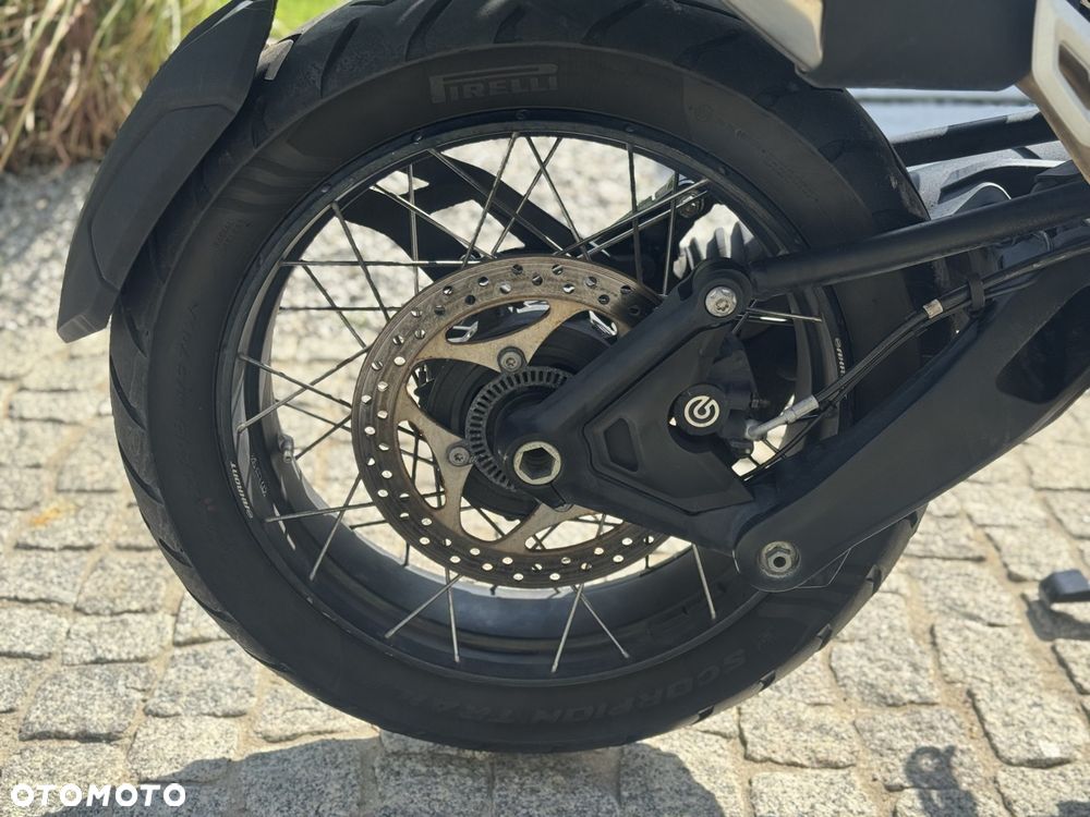 Triumph Tiger - 24