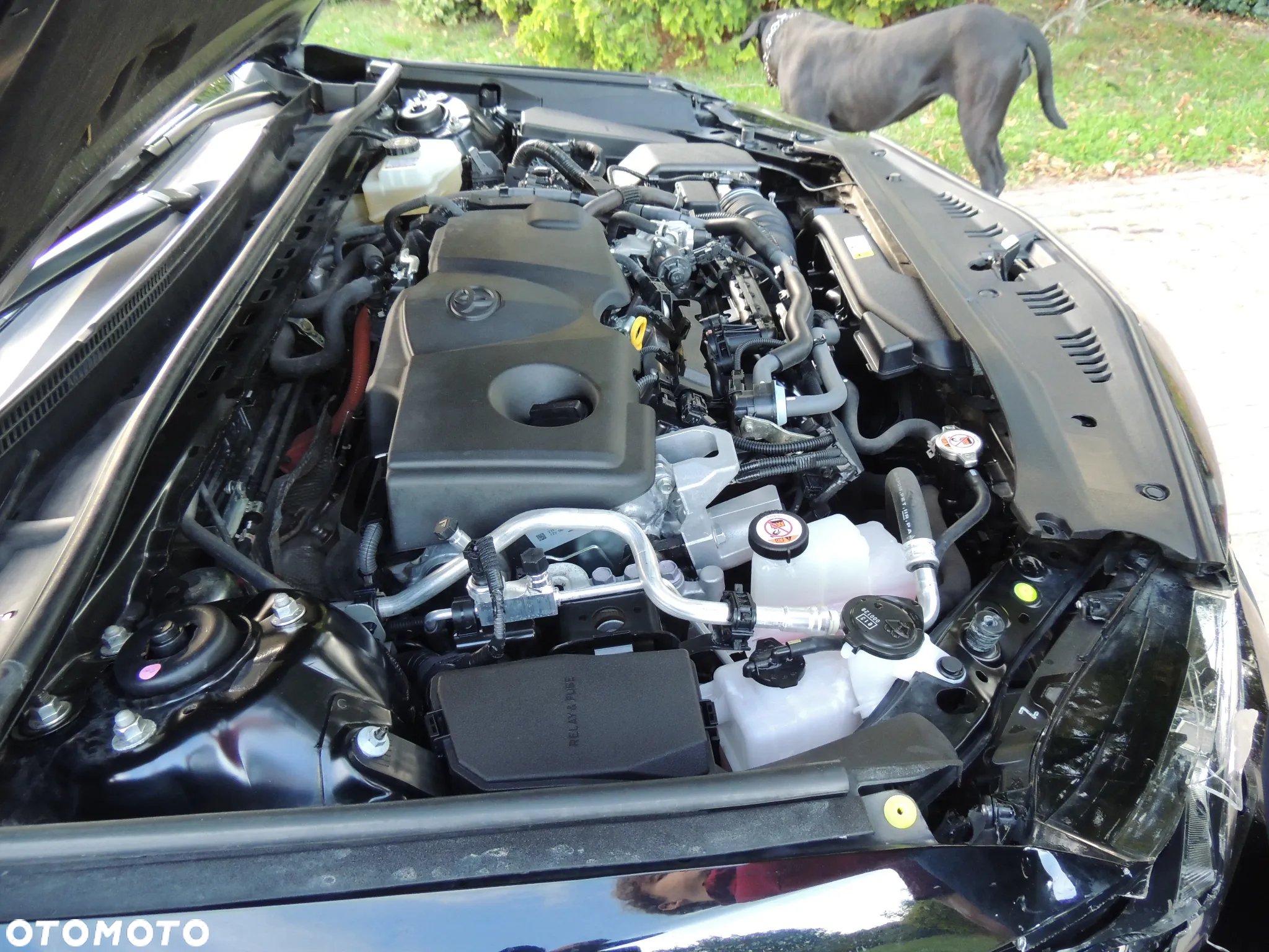 Toyota Camry 2.5 Hybrid Comfort CVT - 25
