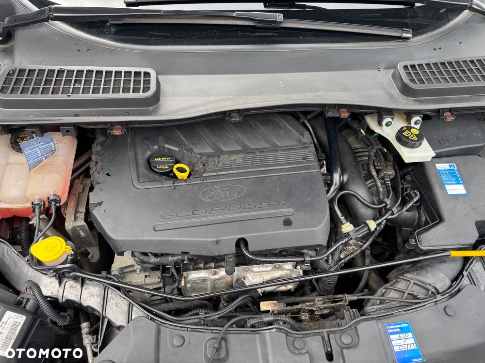 Ford Kuga 1.5 EcoBoost 2x4 Individual - 15