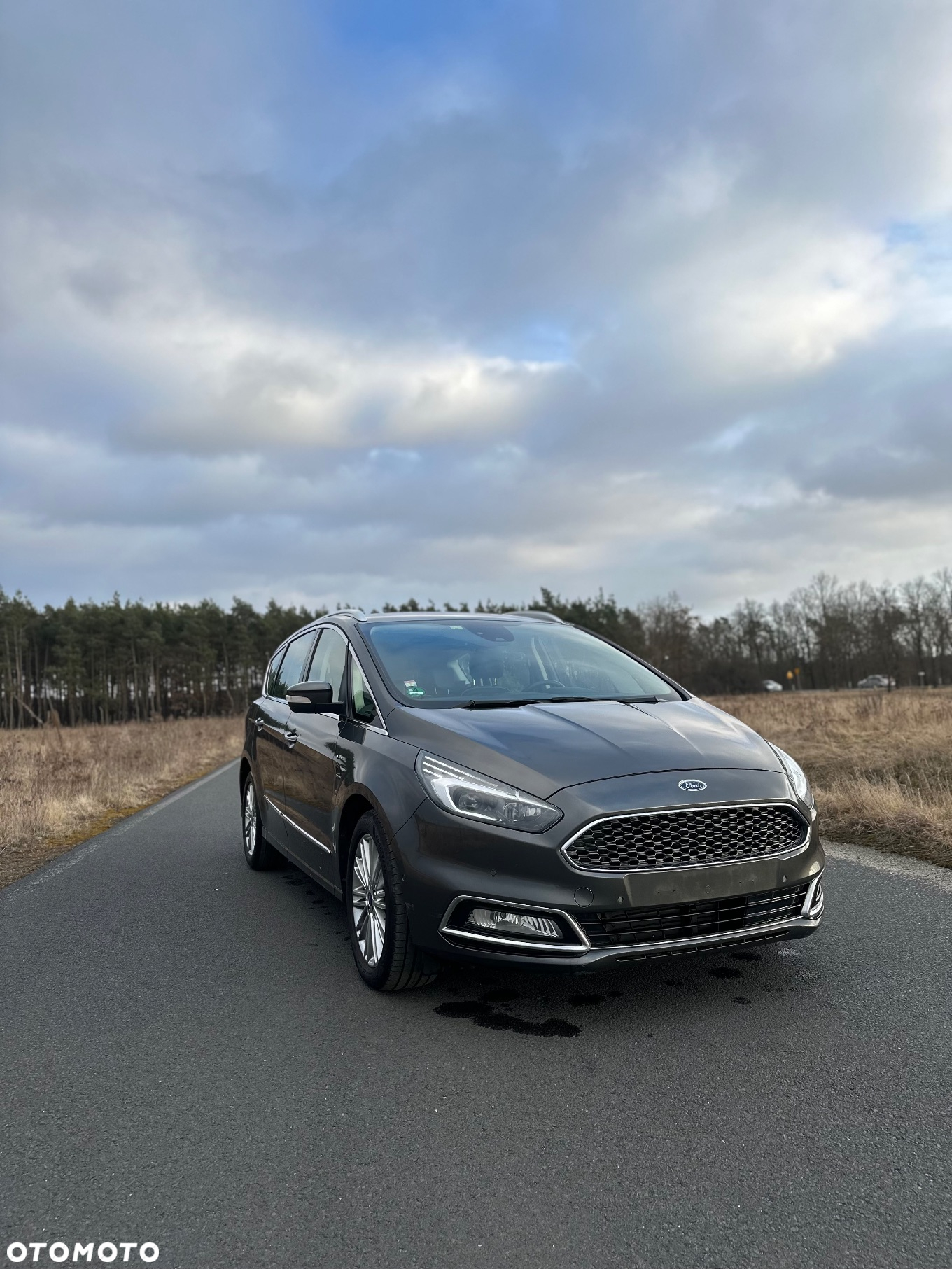Ford S-Max 2.0 EcoBlue Vignale - 3