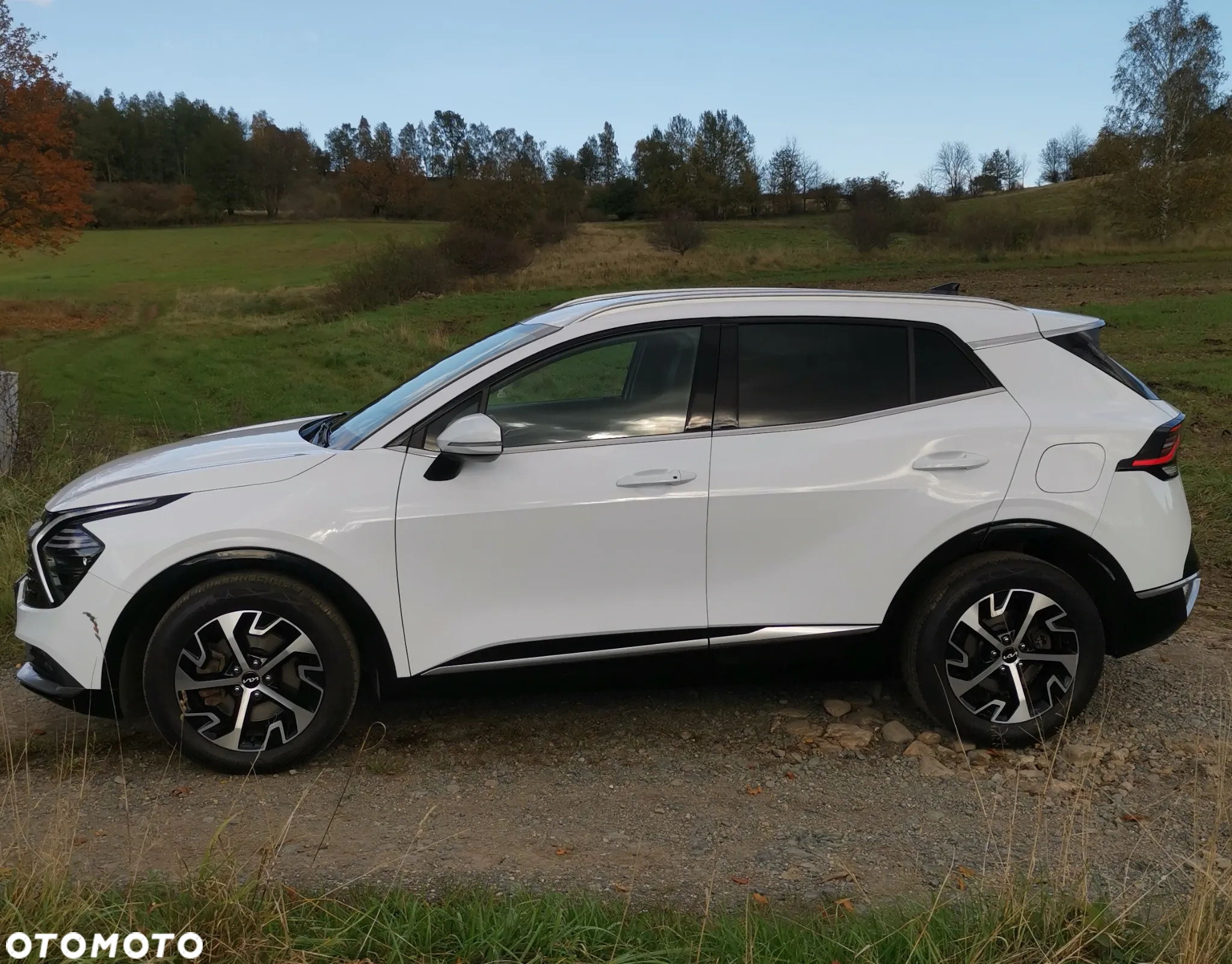 Kia Sportage 1.6 T-GDI Business Line 2WD - 5