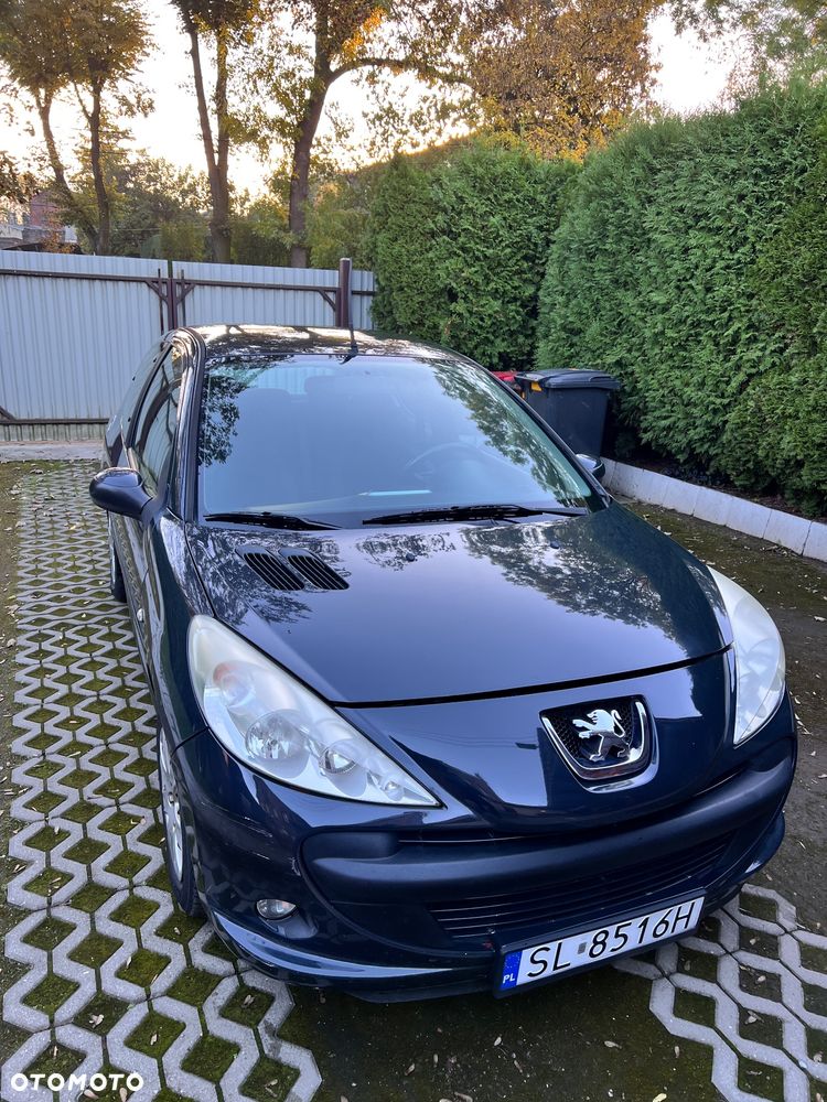 Peugeot 206 - 11