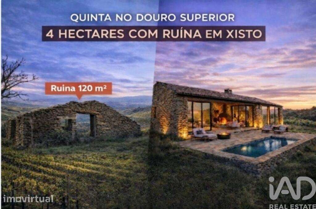 Terreno Agrícola em Vila Nova de Foz Côa - Grande imagem: 2/14
