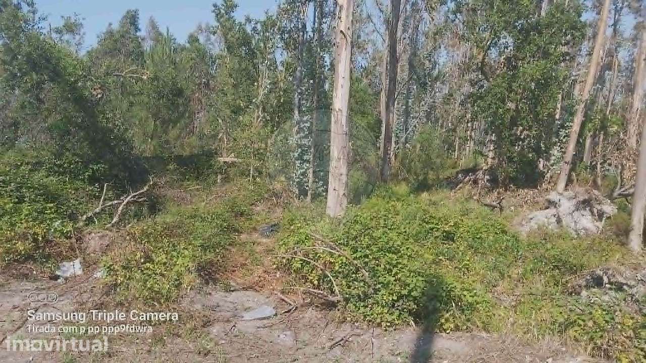 Terreno  para venda - Grande imagem: 2/11