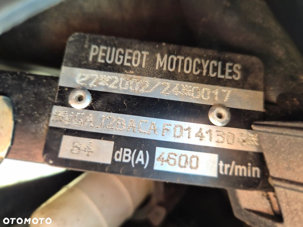 Peugeot Satelis - 16