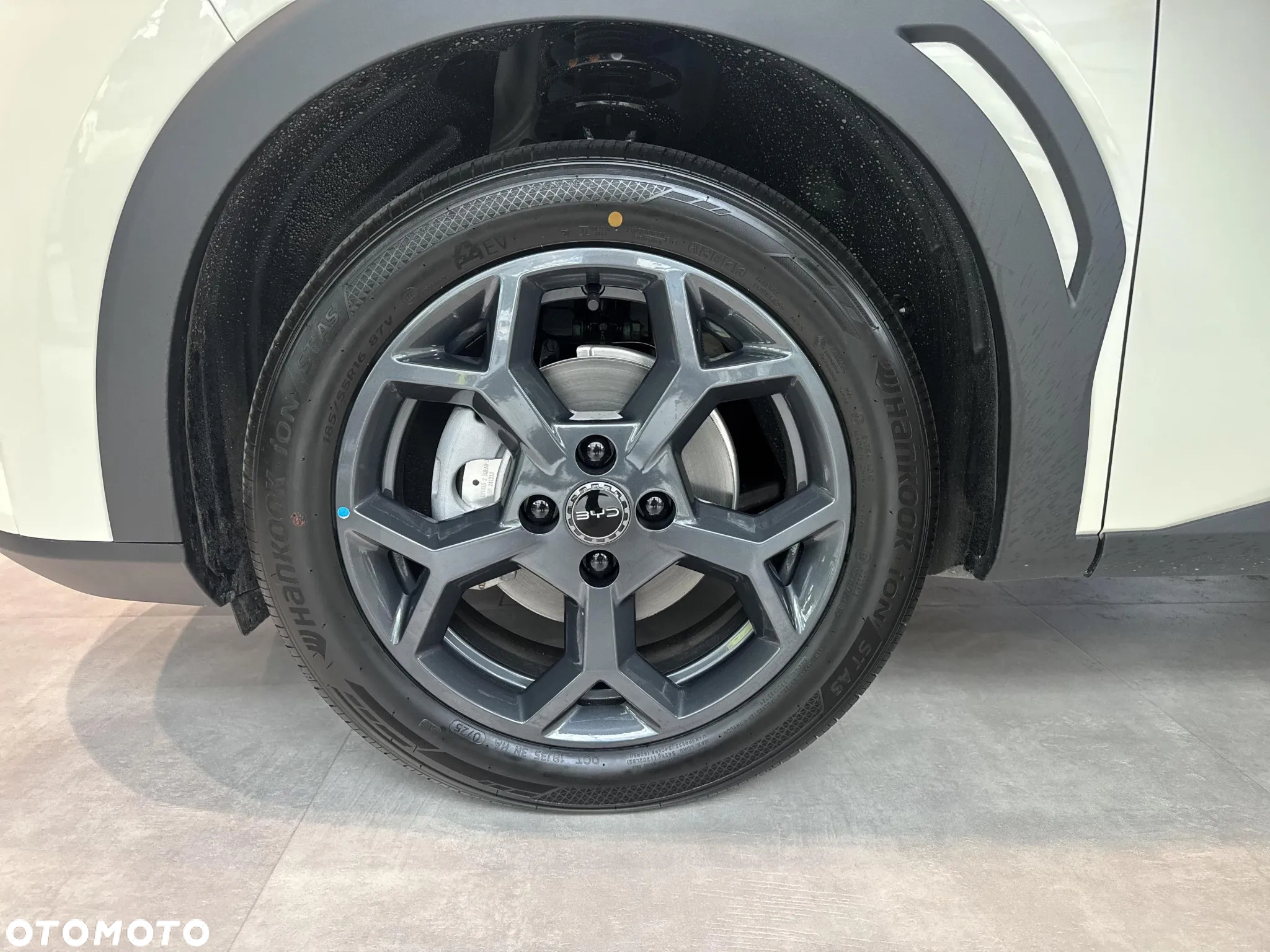 BYD Dolphin Mini - 18