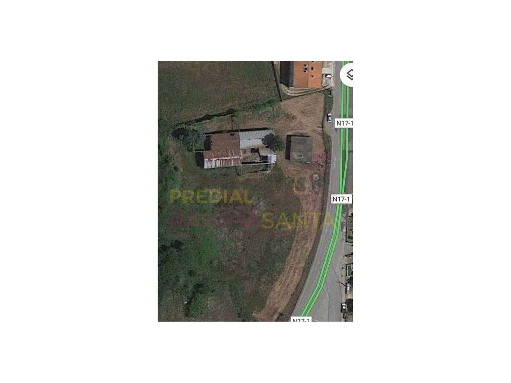 Terreno com barracão - Miranda do Corvo - Grande imagem: 2/7