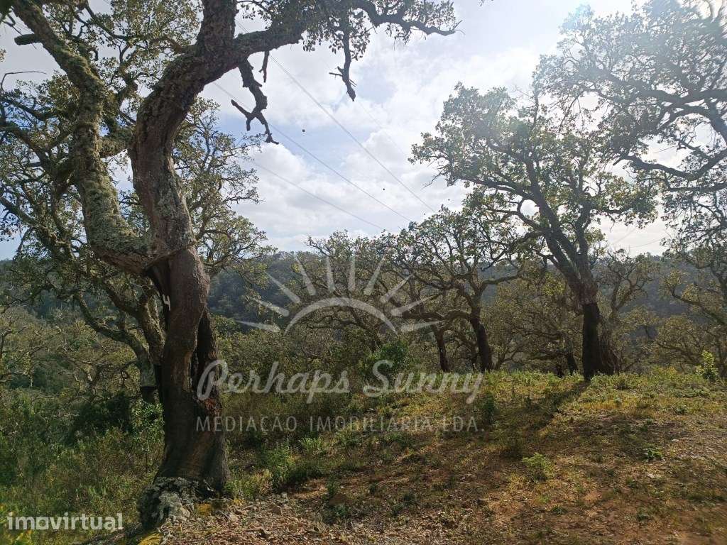 Terreno Rustico São Francisco da Serra - Grande imagem: 2/24