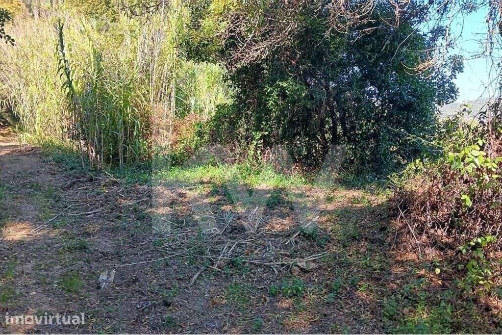 Venda de Terreno rústico com 8.124m2 na Cachouça, Barreiralva, Mafra - Grande imagem: 2/17