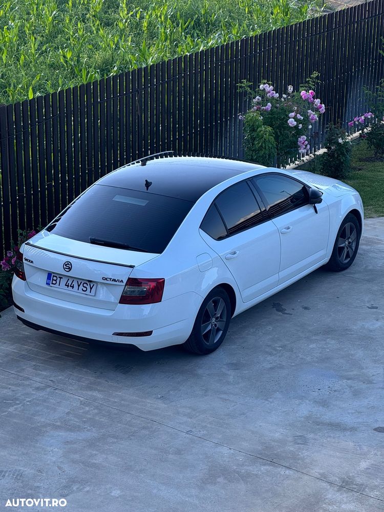 Skoda Octavia 1.6 TDI GREENLINE - 5