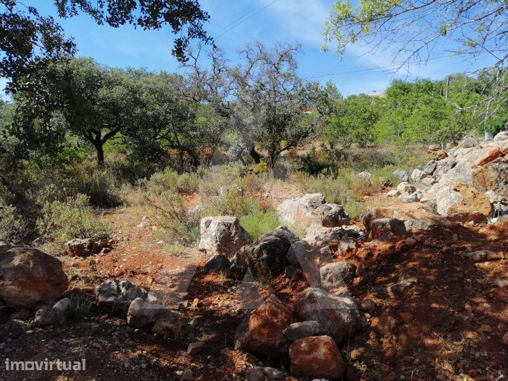 Terreno com 4.300m2 de área e projeto aprovado para construção de 9... - Grande imagem: 5/15