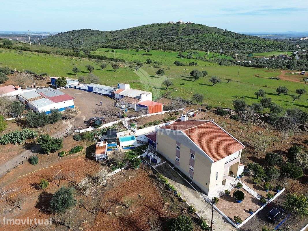 Quinta com 5825mts2 no Vedor, Elvas - Grande imagem: 4/16