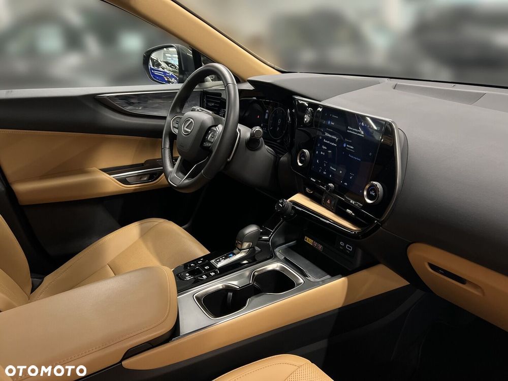 Lexus NX - 18