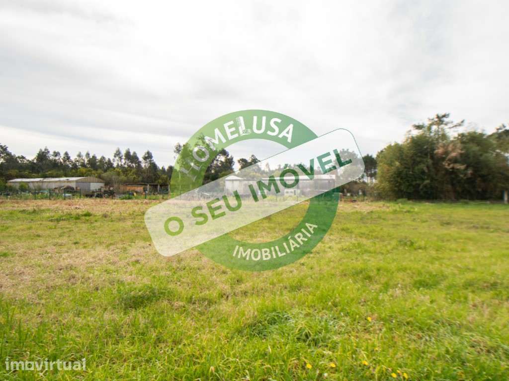 Lote Terreno - Grande imagem: 2/17