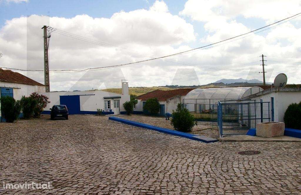 Uma Propriedade Singular na Região de Sintra com 193 000m2 com Lagoa, - Grande imagem: 2/54