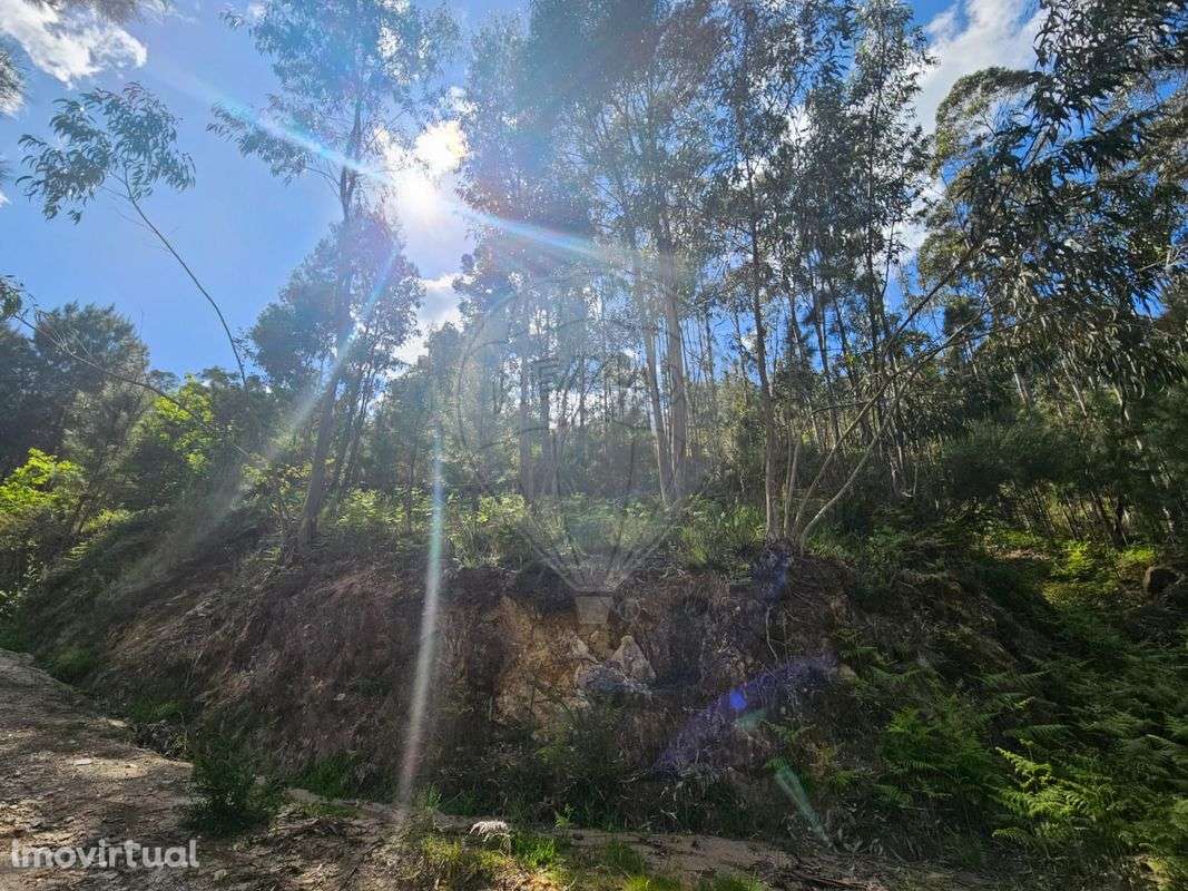 Terreno  para venda - Grande imagem: 4/12