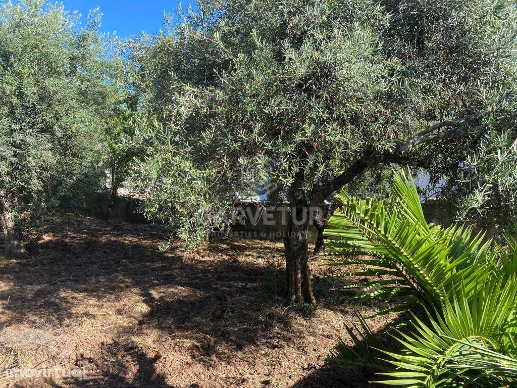 Lote de Terreno urbano no centro Salir, Loulé, Algarve - Grande imagem: 4/13