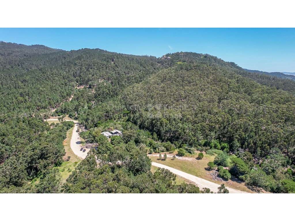Terreno com 31.480 m2 junto à Estrada da Lagoa Azul, Penha Longa - Grande imagem: 3/32