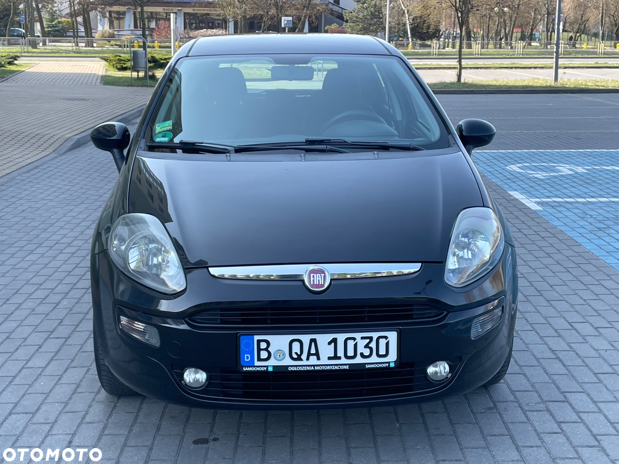 Fiat Punto Evo 1.2 8V MyLife Start&Stop - 9