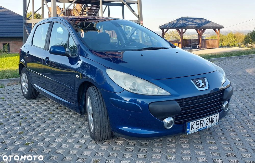Peugeot 307 1.6 - 1