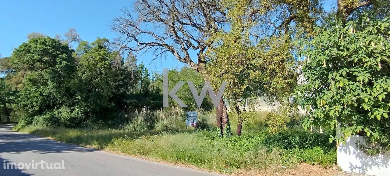 Terreno com 291m2 para Construção de Moradia em Paradela, Águeda - Grande imagem: 5/12