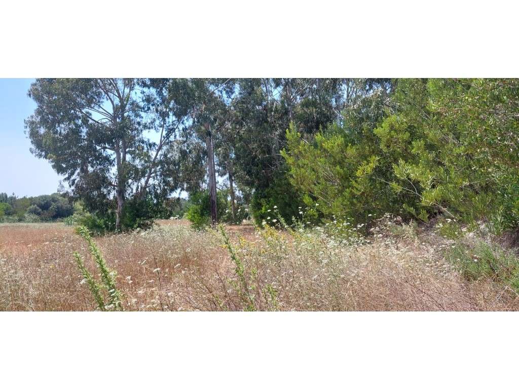 Terreno Rústico para Venda no Rogil, Aljezur - Grande imagem: 5/7