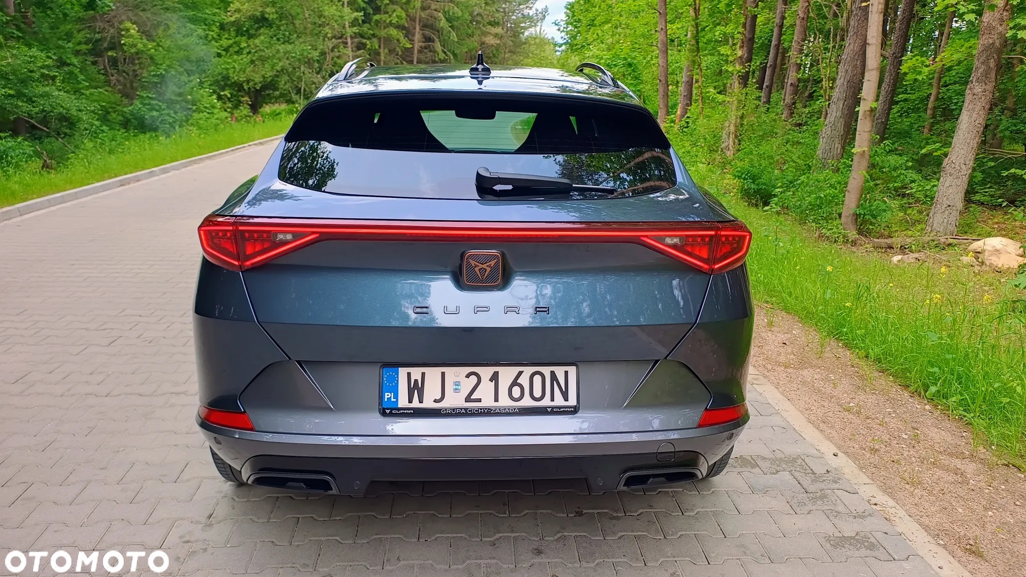 Cupra Formentor 2.0 TDI 4Drive DSG - 7