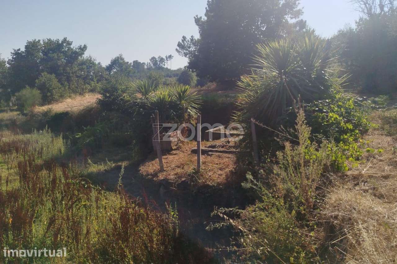 Terreno, 6 700 m², Santiago de Cassurrães e Póvoa de Cervães - Grande imagem: 2/32