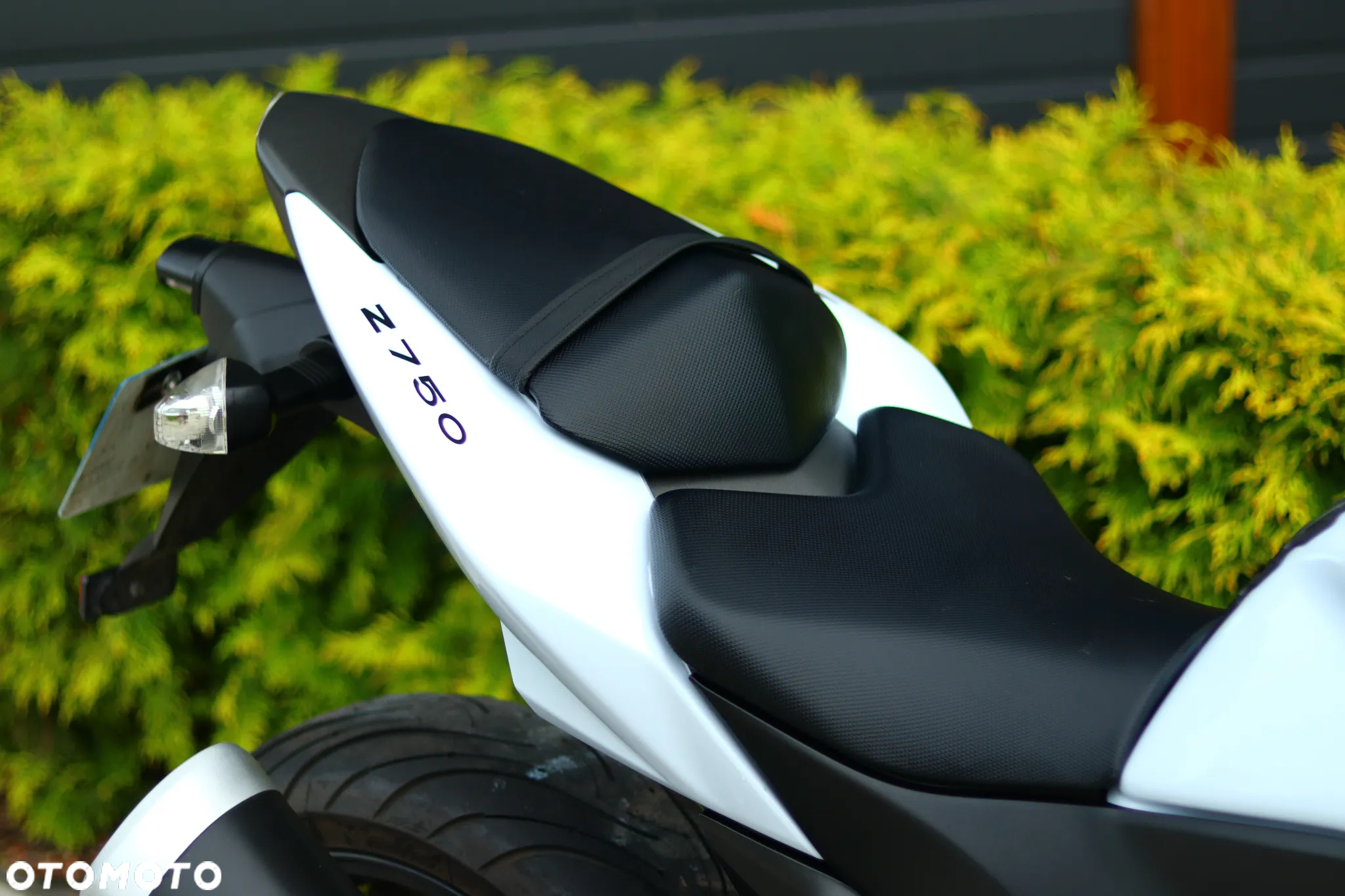 Kawasaki Z - 6