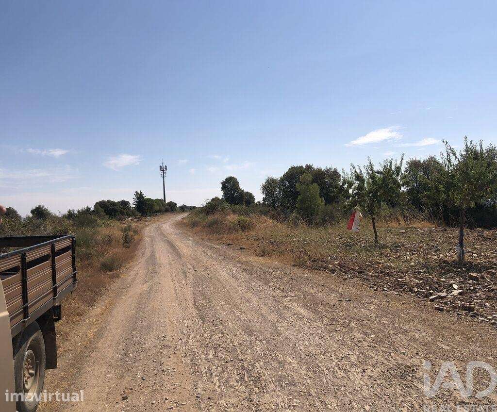 Terreno Agrícola em Poiares - Grande imagem: 2/17