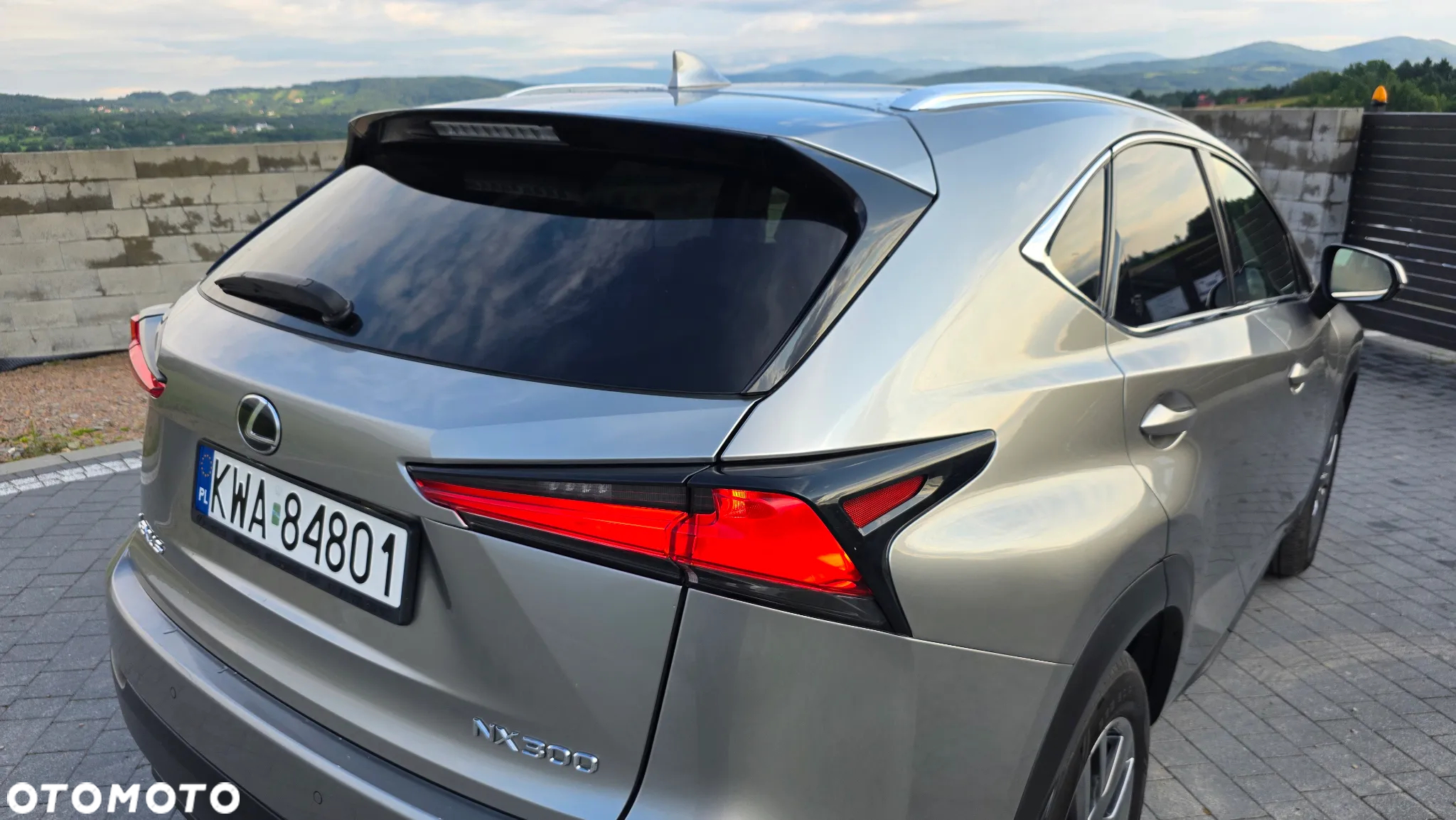 Lexus NX - 7