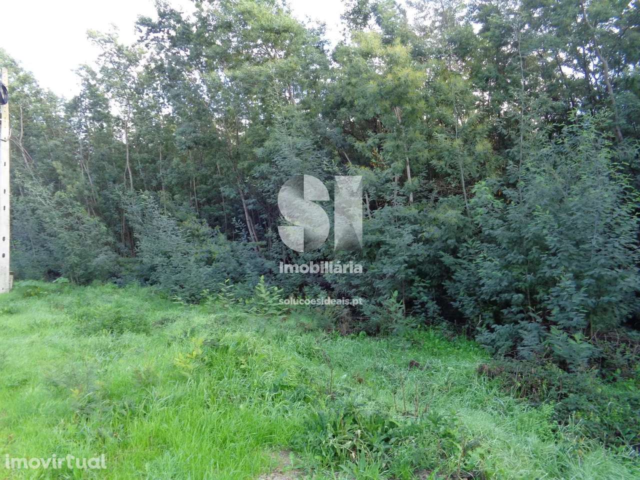Terreno em Lousã - Grande imagem: 3/27