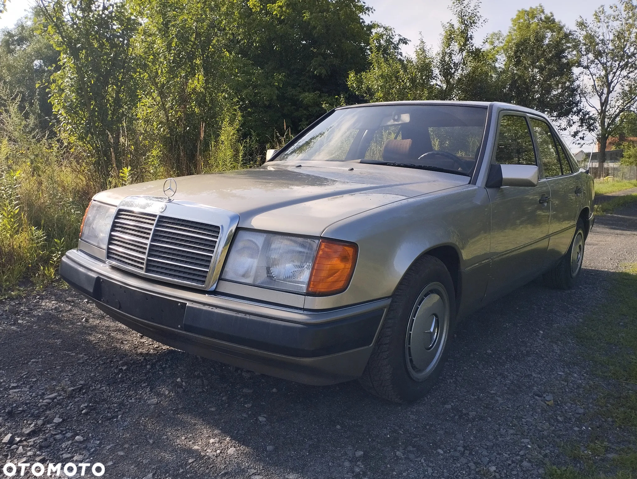 Mercedes-Benz W124 (1984-1993) - 13