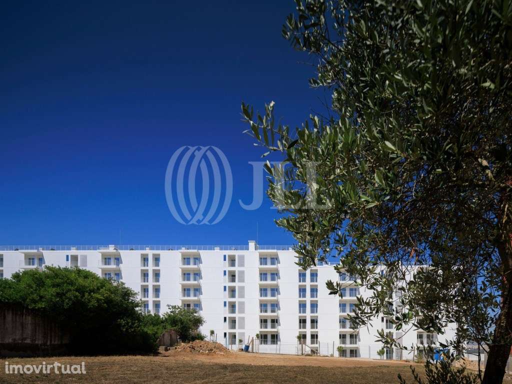 Colina do Outeiro - Grande imagem: 2/26