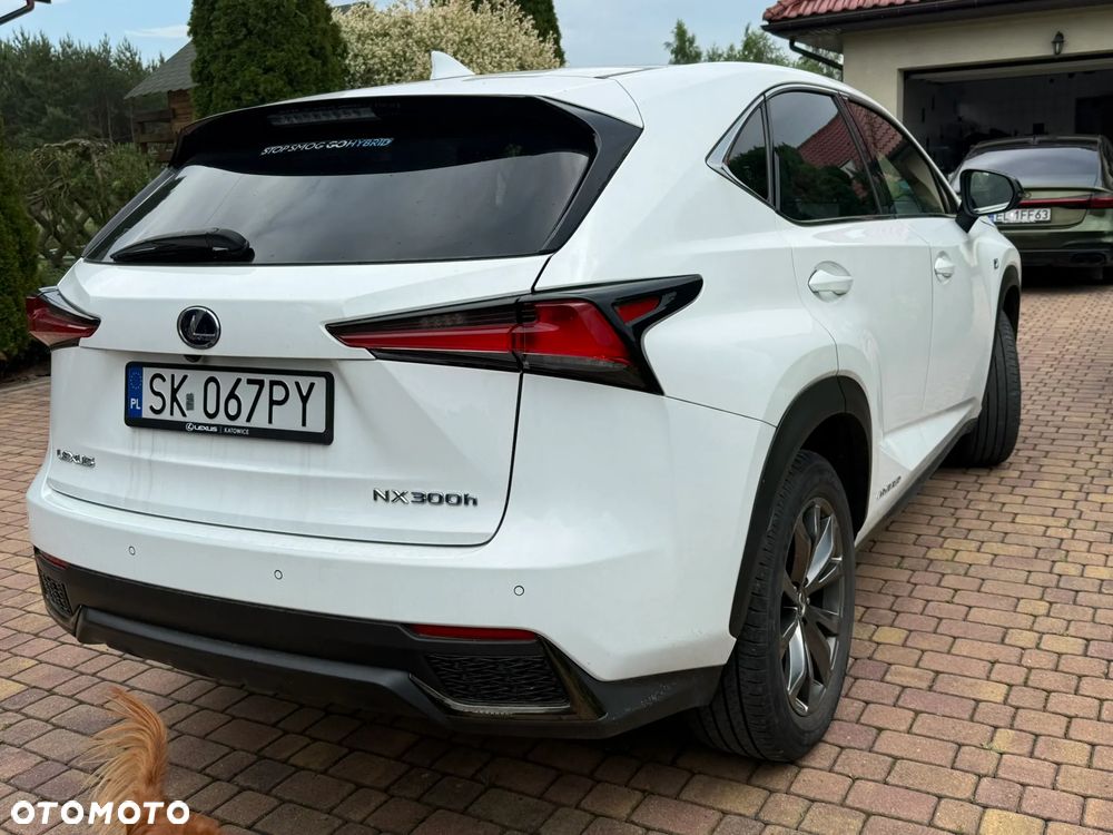 Lexus NX 300h F Sport Edition AWD - 6