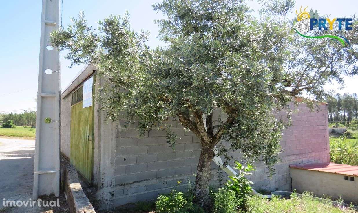 Terreno para construção localizado em Azinheira - Marmeleiro. - Grande imagem: 2/49