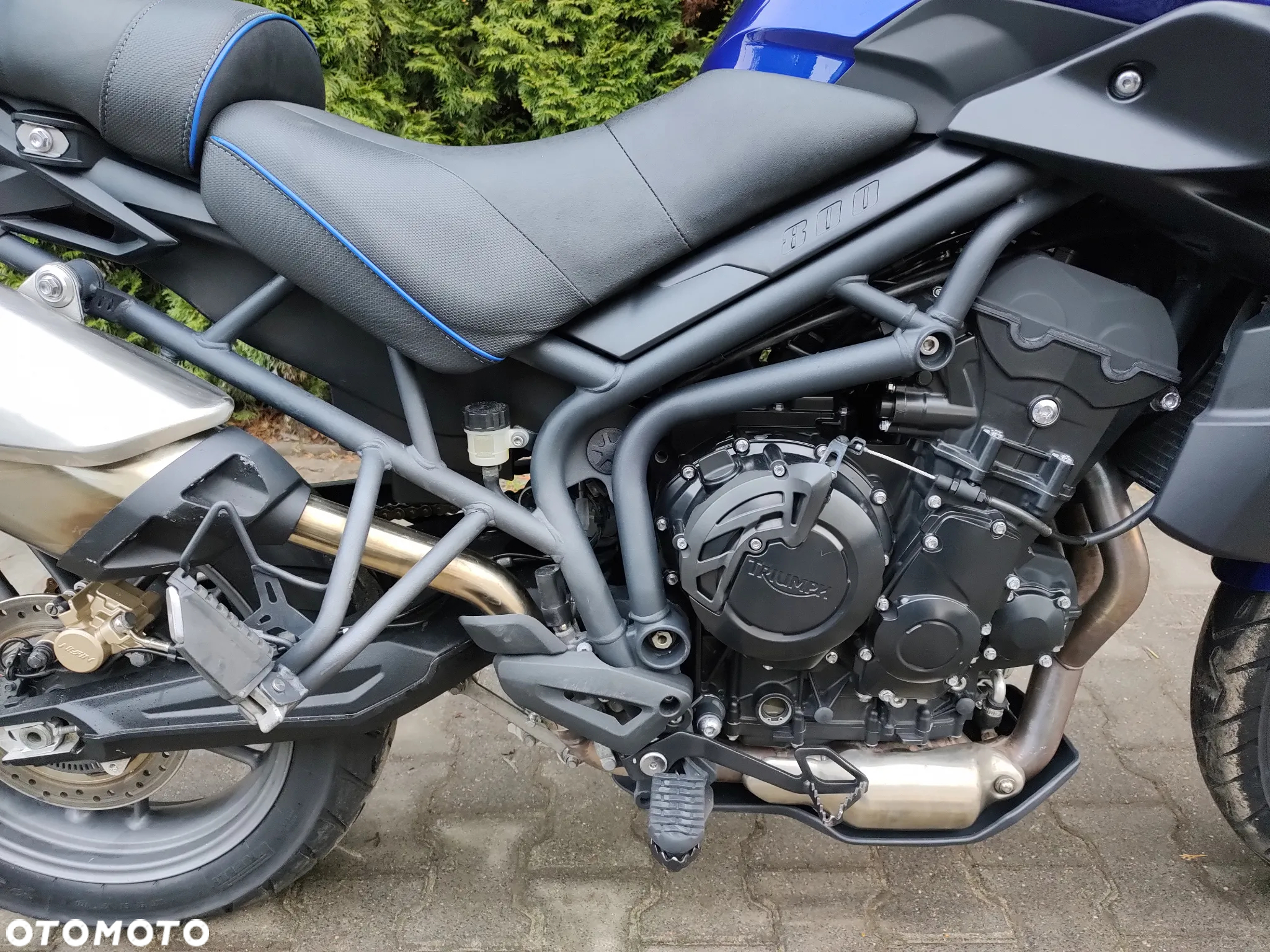 Triumph Tiger - 5
