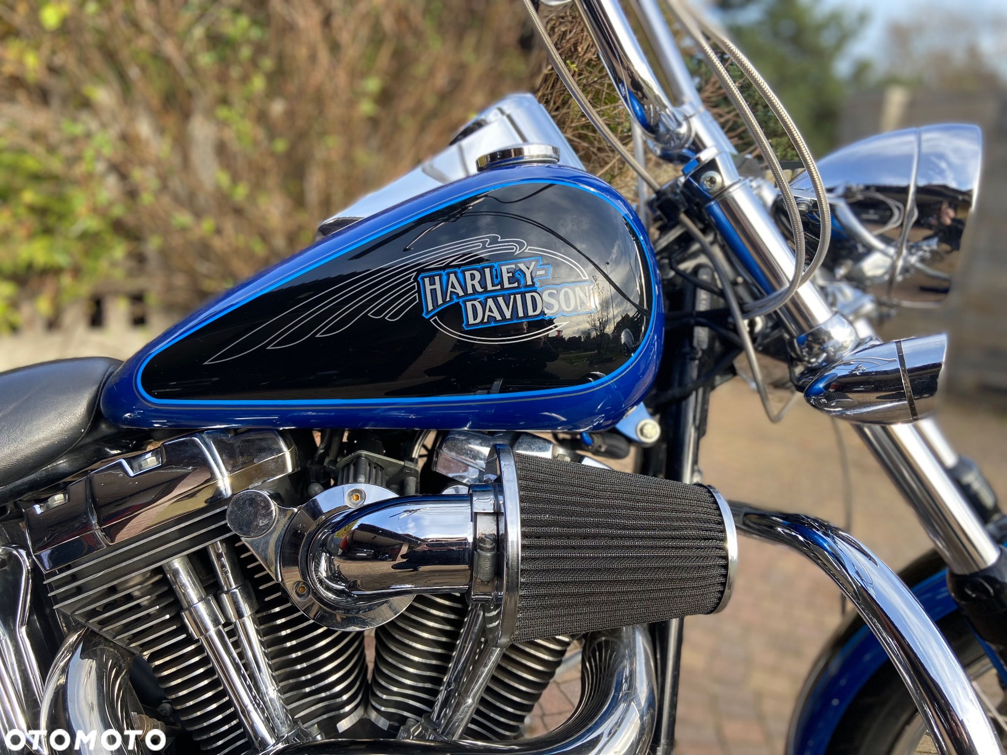 Harley-Davidson Softail Custom - 9