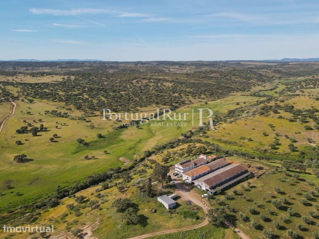 Herdade com 380ha próximo de Castelo Branco - Grande imagem: 3/57